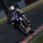 8,h,Suzuka,2016,Team,Yamaha,Racing